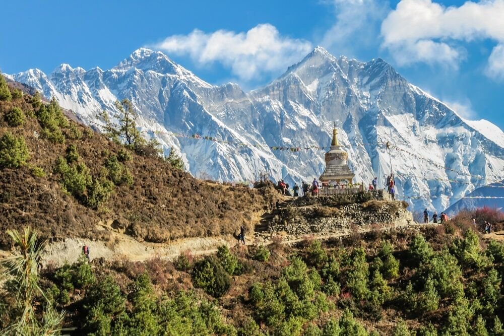 Himalayan Vista