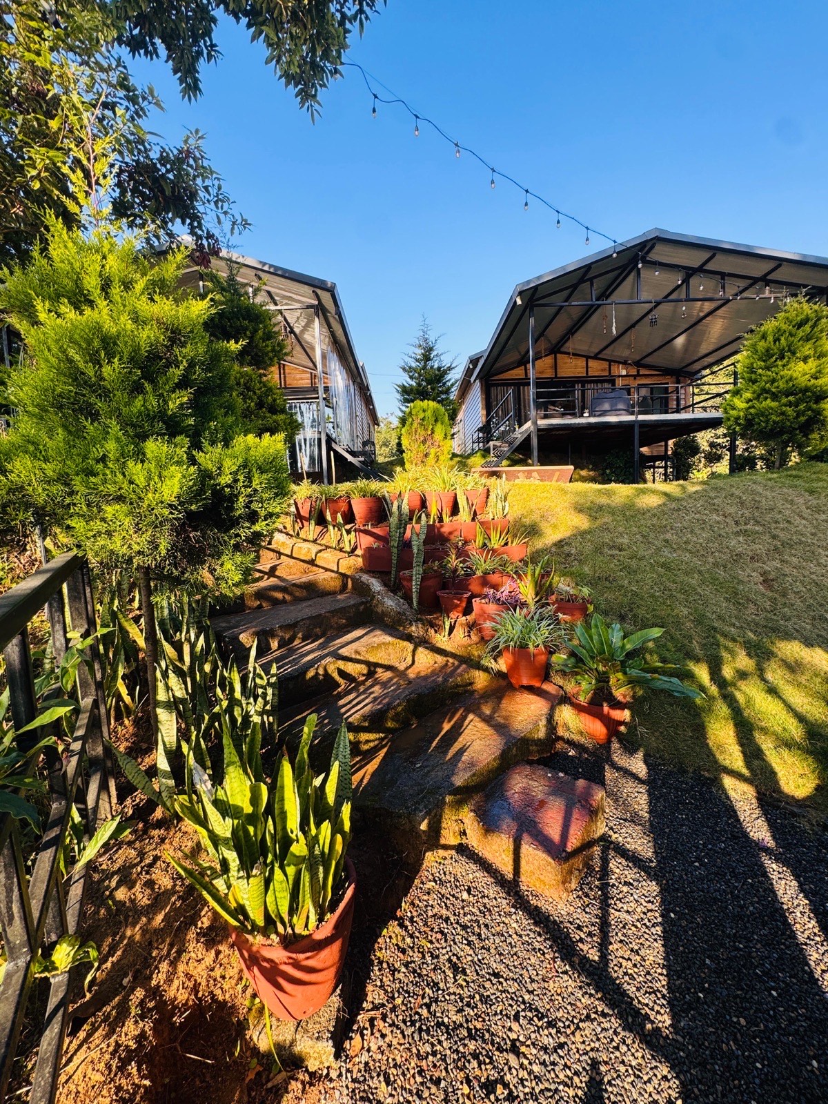 Sabs Villa garden with string lights